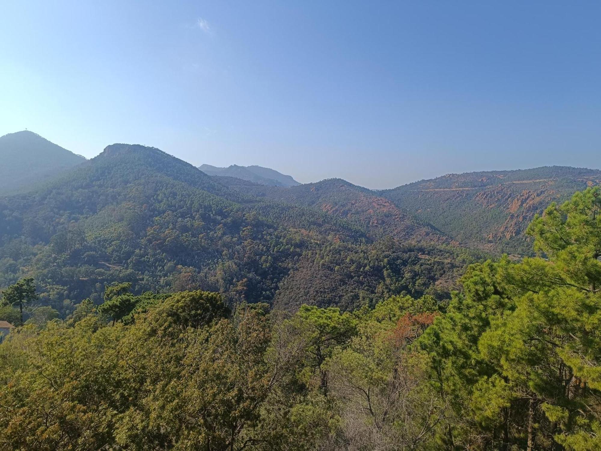 Magnifique Vue Mer Et Piscine - Les Cles De L Esterel تيول سور مير المظهر الخارجي الصورة