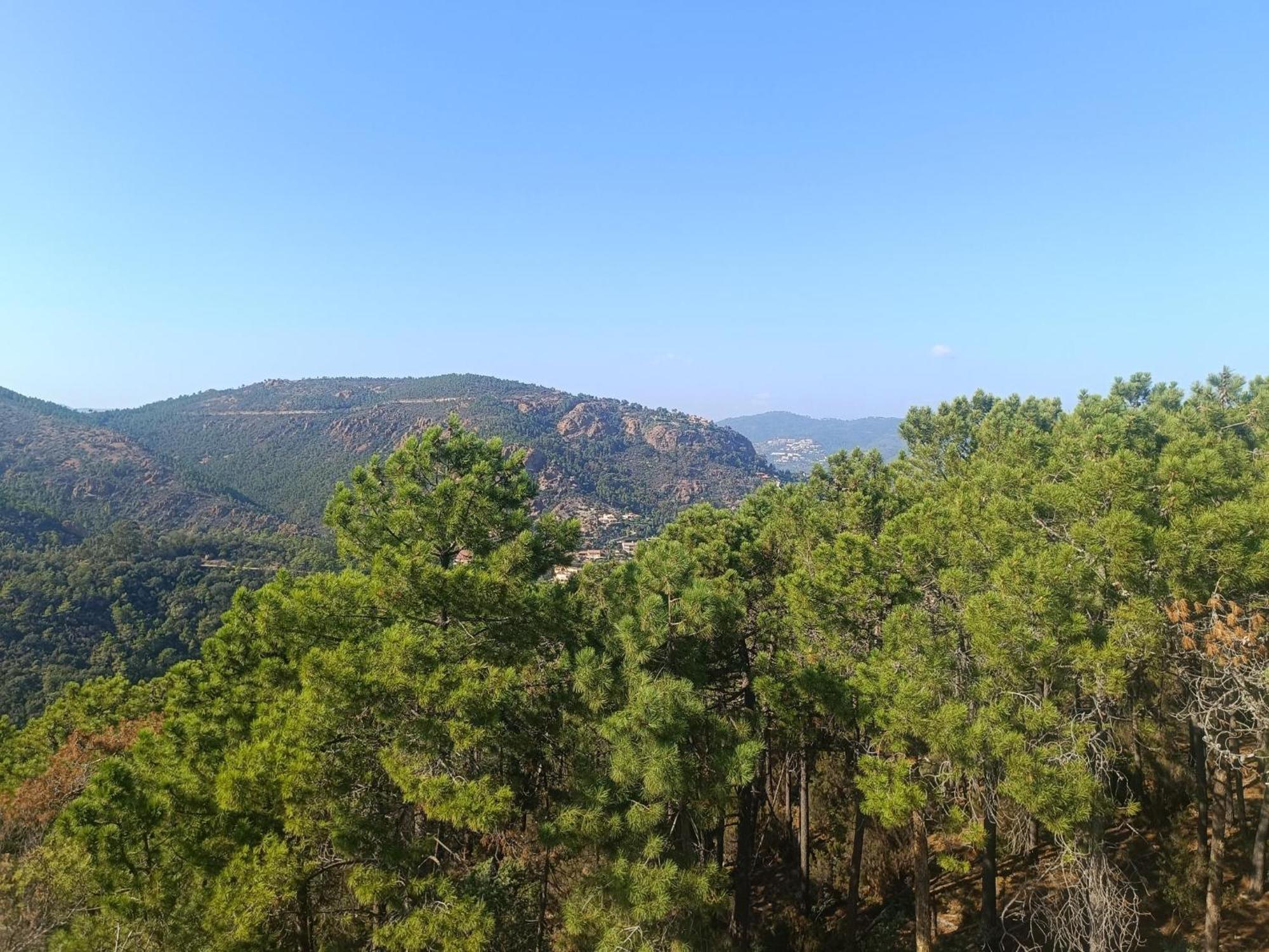 Magnifique Vue Mer Et Piscine - Les Cles De L Esterel تيول سور مير المظهر الخارجي الصورة